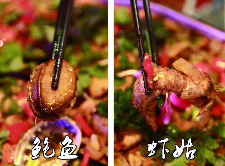 杭州这家餐厅火了,这家火遍魔都的餐厅终于来杭州了