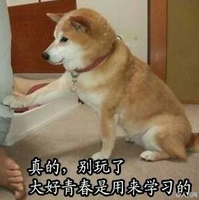 纪梵希小猪皮,纪梵希火了