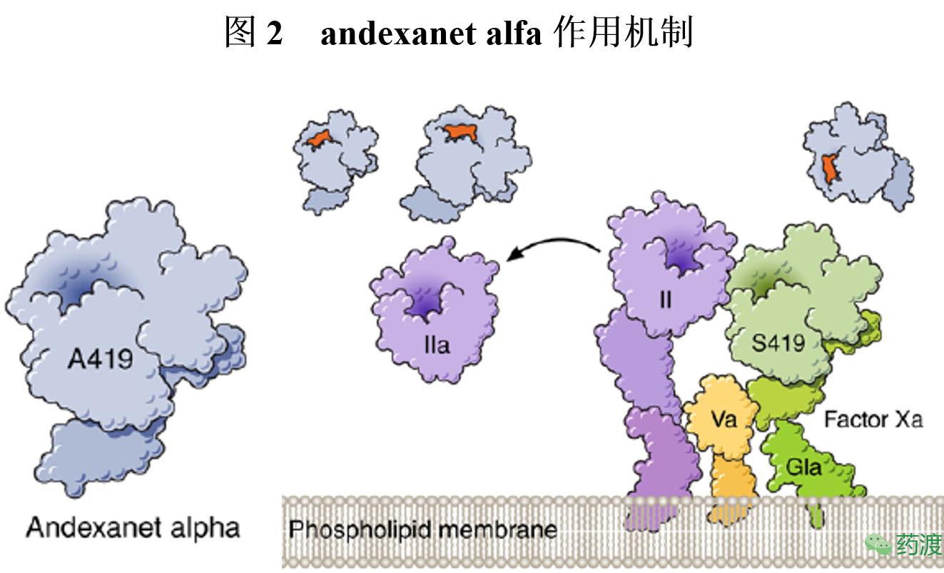 有矛就有盾一物降一物,有矛有盾吗