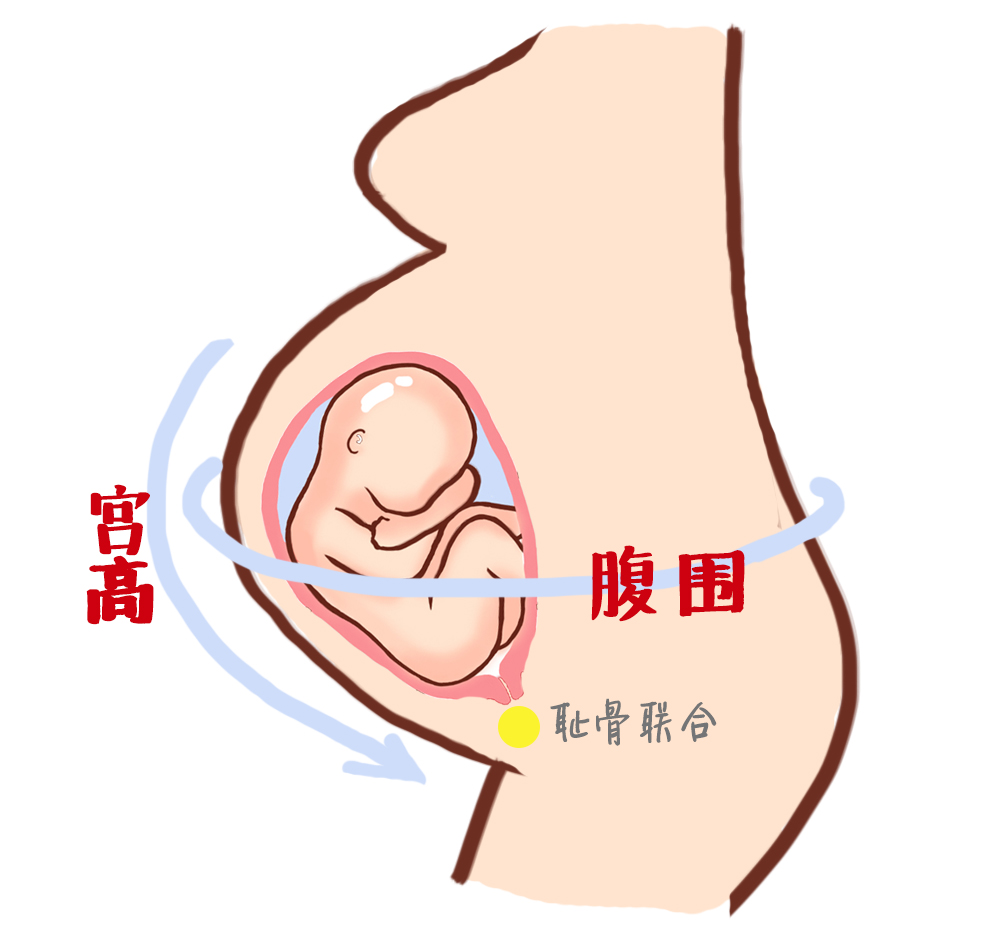 产检全过程详细讲解 (最全产检时间表新手妈妈必收藏)