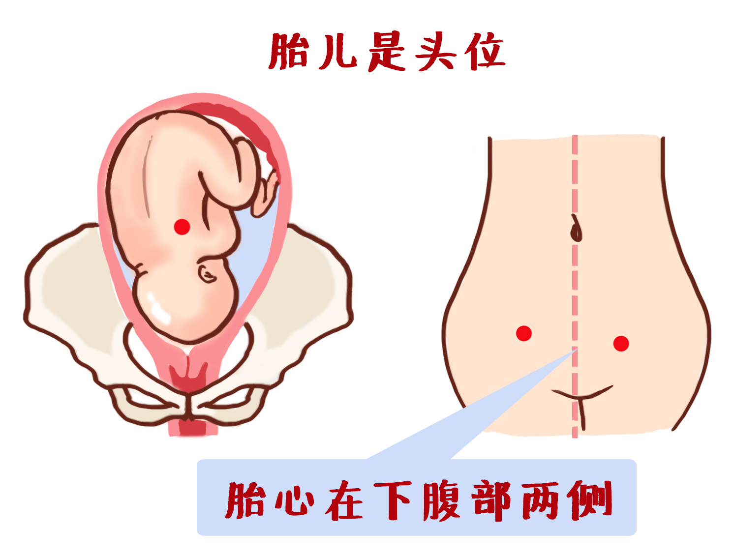 产检全过程详细讲解 (最全产检时间表新手妈妈必收藏)