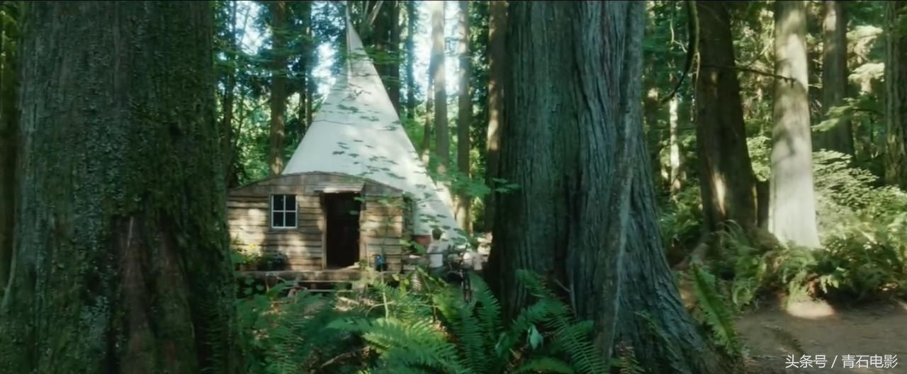 最近上映的丛林新电影,最近上映的丛林动画新电影