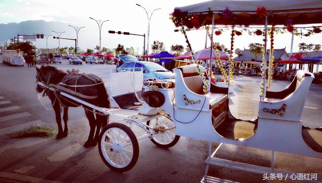 尼苏小镇打卡地,尼苏小镇是哪里