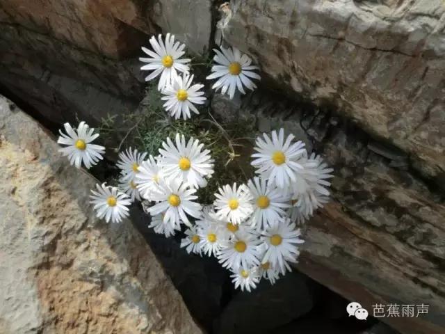 红晕初染看太行（徒步笔记19）——辉县薄壁流水沟穿越