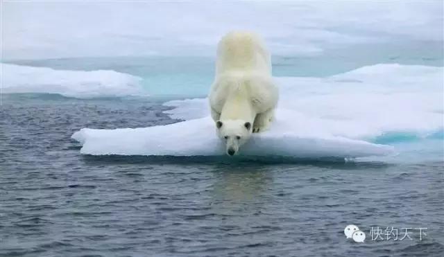 有了探探再也不用愁脱单,有没有必要用探鱼器
