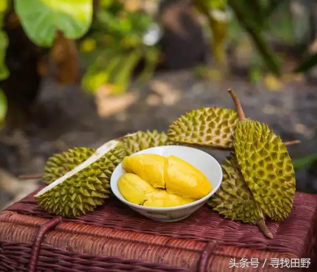 “感身空”？老司机带你吃颗榴莲补一补