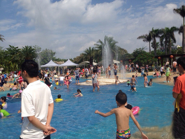 厉害了word哥,厉害了word哥视频