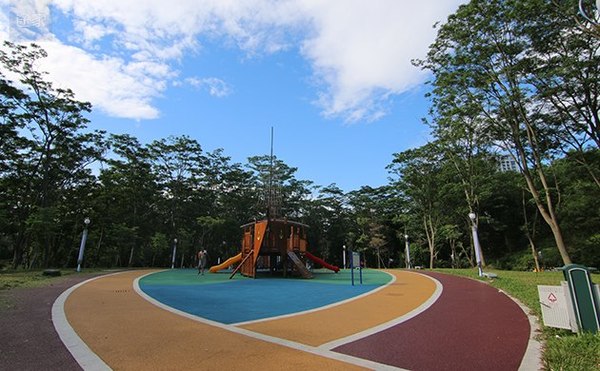 厉害了word哥,厉害了word哥视频