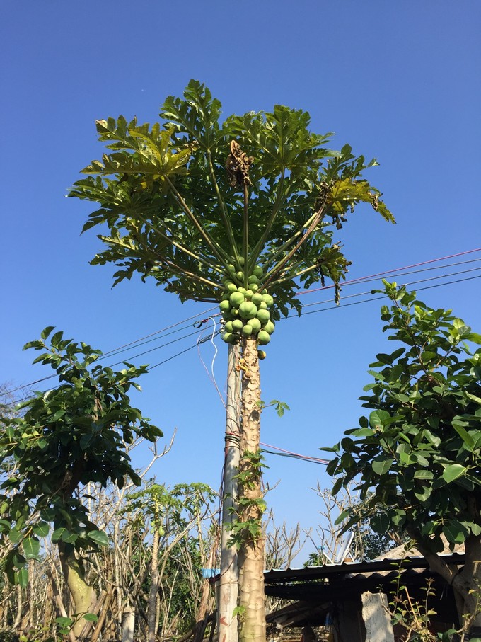 我的第一次出行视频,我的第一次不间断骑行100公里