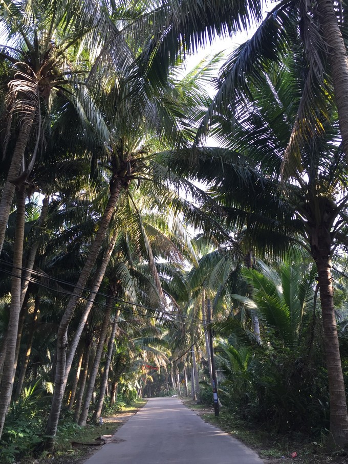 我的第一次出行视频,我的第一次不间断骑行100公里