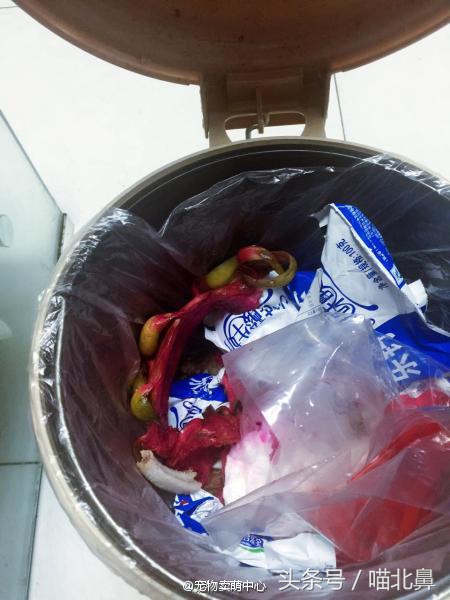 小猫吃猫砂会中毒吗,猫奴求助