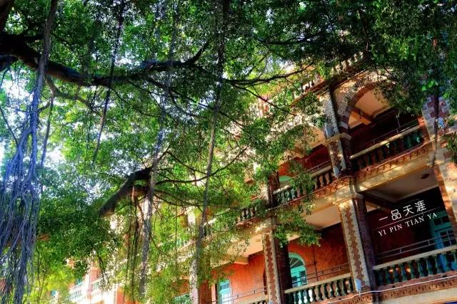 最美集美中学,集美中学长什么样