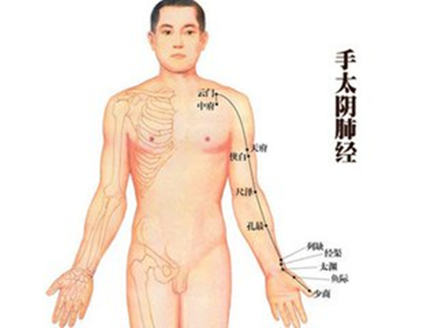 拍打胸肩胳膊打通肺经,拍打手臂通气血