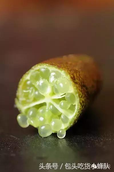 红色鱼子酱搭配的西餐料理做法,分子料理鱼子酱具体的做法