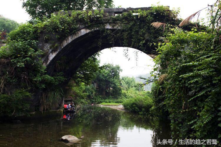 我的家乡崇阳市,家乡美我的故乡原唱