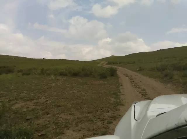 自驾川西带金毛,长途自驾带金毛