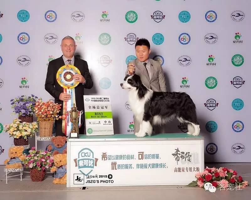 巴西淘淘老年犬,巴西淘淘幼犬狗粮