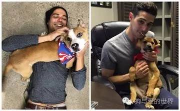 爱狗的人可爱吗 (真正爱狗的人的长相)