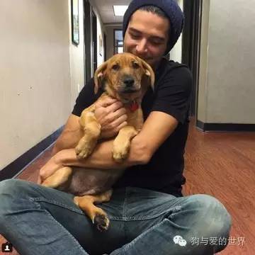 爱狗的人可爱吗 (真正爱狗的人的长相)