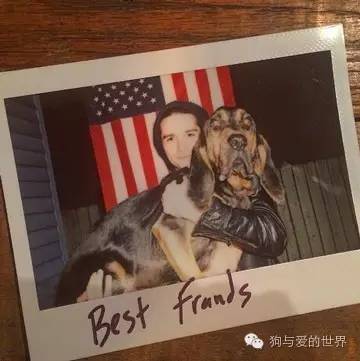 爱狗的人可爱吗 (真正爱狗的人的长相)