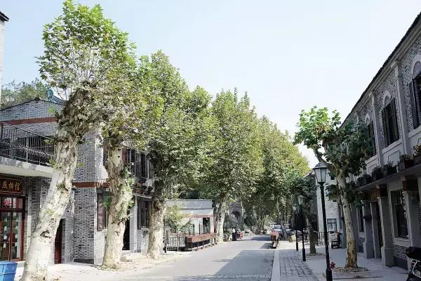 在干将莫邪的神话里，有一个地方，颜值逆天奢华而低调