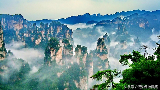 武汉到张家界自由行攻略,上海到张家界自驾游详细攻略