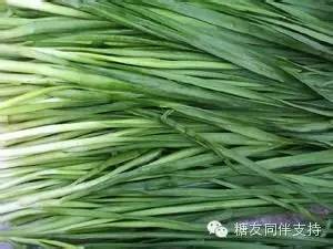 糖尿病友预防肾病,听台湾卫都师的建议