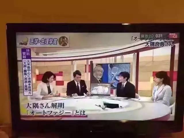 日本最贵精华液,绿宝瓶精华荣获诺贝尔奖