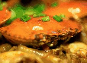 杭州这家餐厅火了,这家火遍魔都的餐厅终于来杭州了