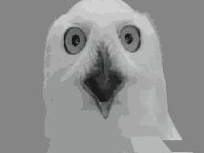 纪梵希小猪皮,纪梵希火了