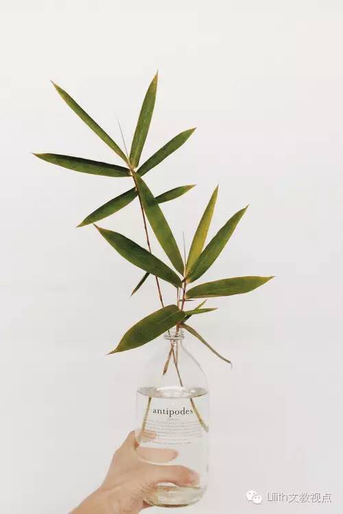 鍙ゆ椂鍊欎腑鍥界殑鍖犲績鏂囧寲,涓浗浼犵粺鍖犲績