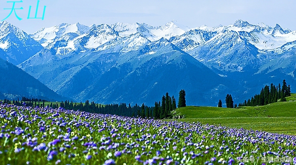 秀美中国之*疆新**