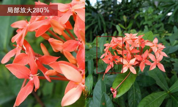 努比亚z60ultra夜景拍照测评对比,努比亚z60ultra长焦拍照测试