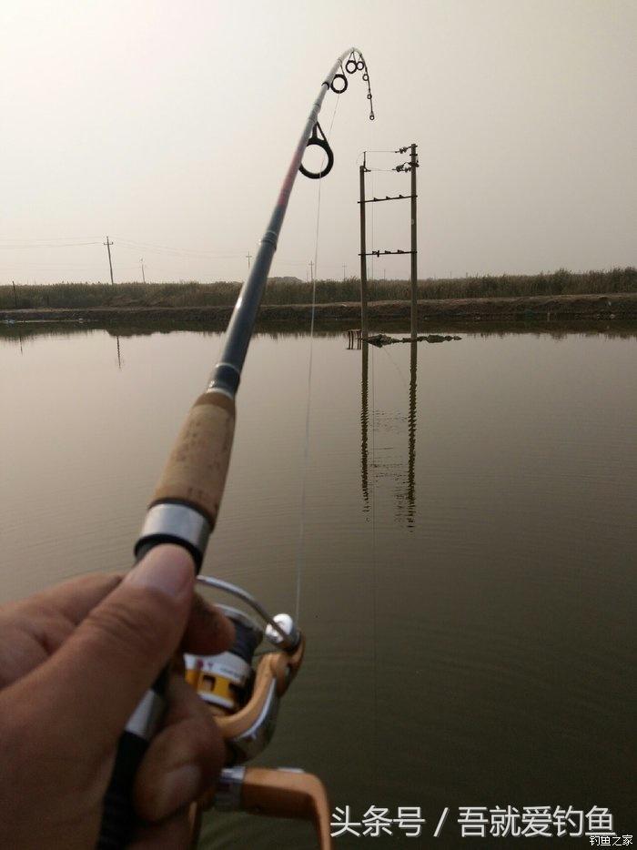 假休十月翻板初试失利恶犬护塘渔获数爆炸饵