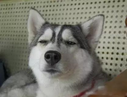 重庆话搞笑方言口型最火,爆笑重庆话方言