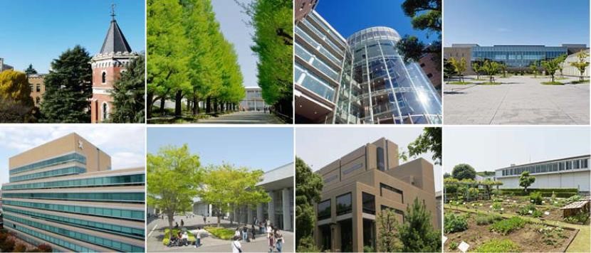 日本永驻权申请条件,日本永驻审查时间