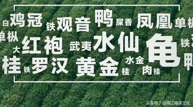 乌龙茶和乌龙,乌龙茶和乌龙球的区别