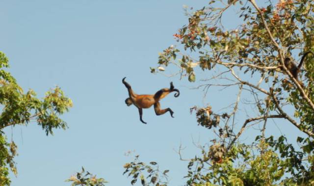 你觉得我这个人怎么样bgm,你觉得我这个人怎么样粤语怎么说