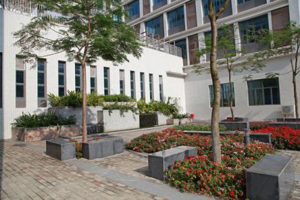 龙岗高级中学和龙岗外国语哪个好,深圳高级中学龙岗学校怎么样