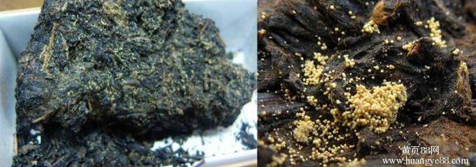 黑茶的九大功效隔夜茶能喝吧,黑茶的九大功效