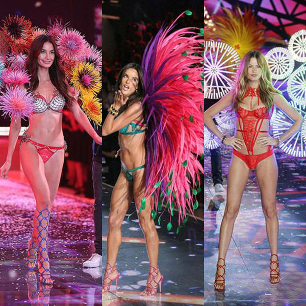 1130维秘准备好了吗