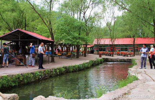 农村的十种最赚钱的小生意,农村致富的10个门路