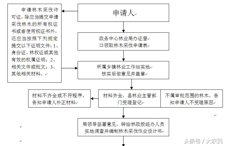 无证采伐林木立案处罚程序,私砍林木怎么处罚