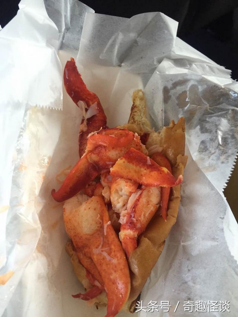 在美国旅游日常,在美国旅游攻略大全最新