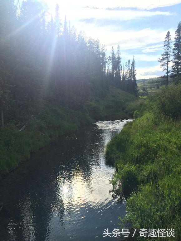 在美国旅游日常,在美国旅游攻略大全最新