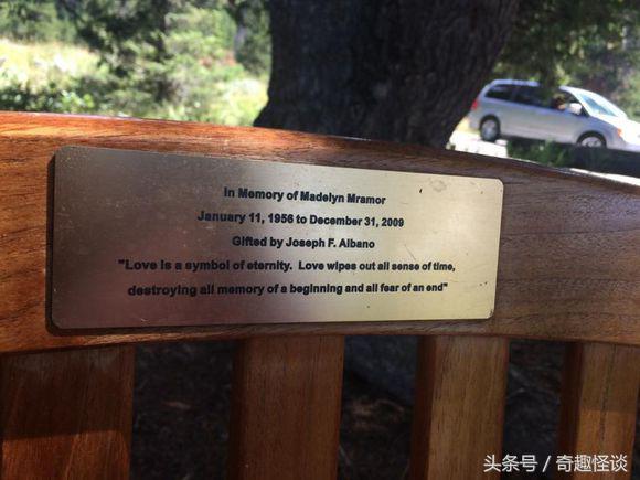 在美国旅游日常,在美国旅游攻略大全最新