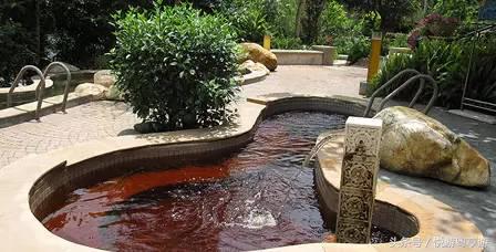 广东下周气温“跌”,不如一起去约“泡”吧...