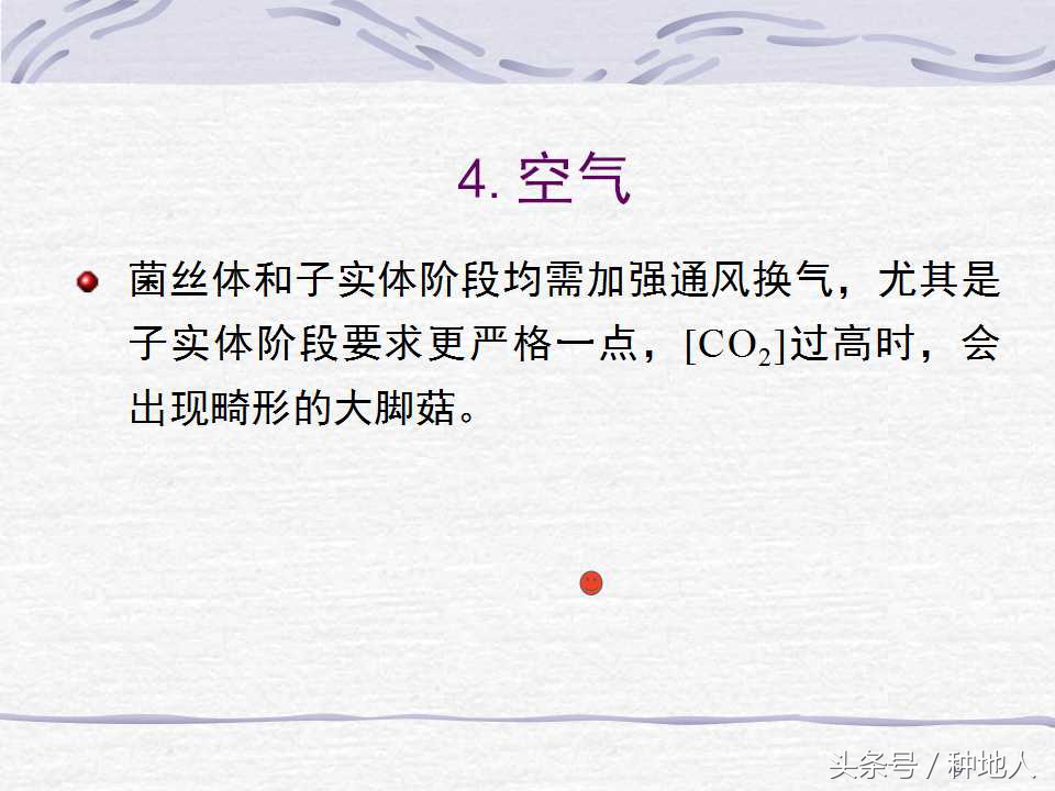 香菇栽培实用技术教案,屋顶香菇栽培