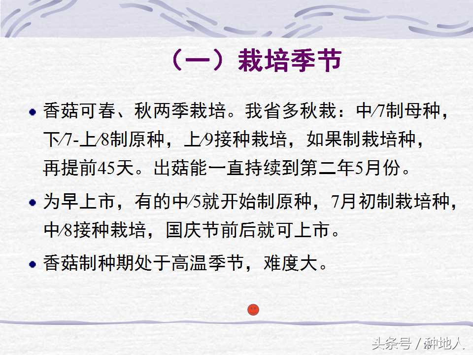 香菇栽培实用技术教案,屋顶香菇栽培