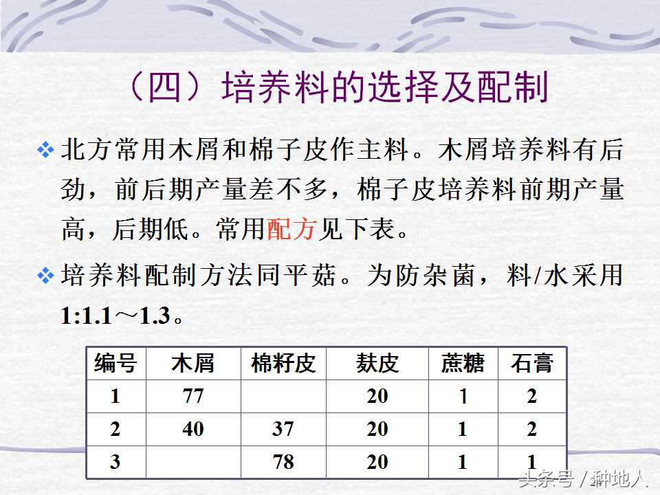 香菇栽培实用技术教案,屋顶香菇栽培